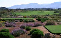 Oro Valley Golf Course