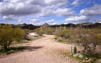 Oro Valley Horse Property